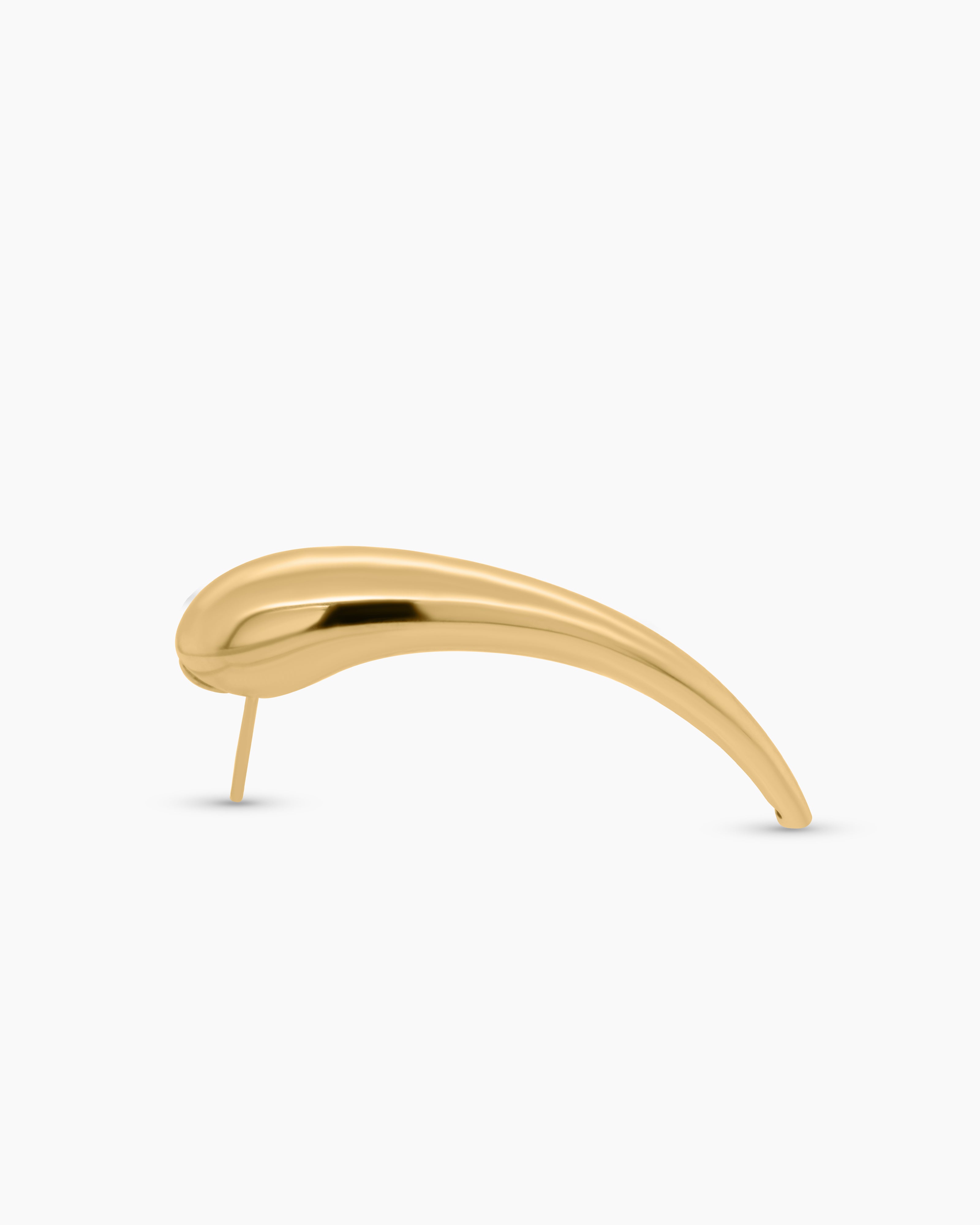 Horn Post Earrings